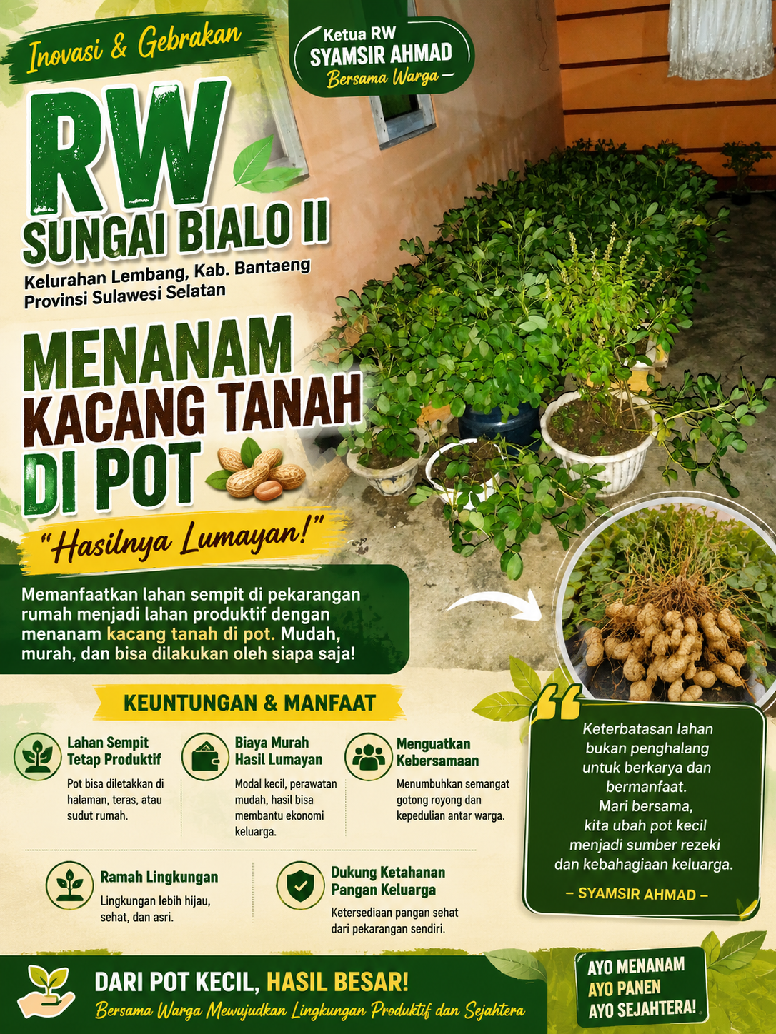 Inovasi RW Sungai Bialo II: Syamsir Ahmad Sulap Pot Menjadi Lahan Produktif, Warga Panen Kacang Tanah dengan Hasil Menjanjikan